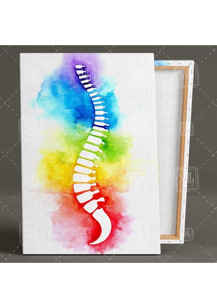 Sulu Boya Omurga Ilüstrasyonu Fizyoterapi Beyin ve Sinir Cerrahisi Dikey Kanvas Tablo fiyatları