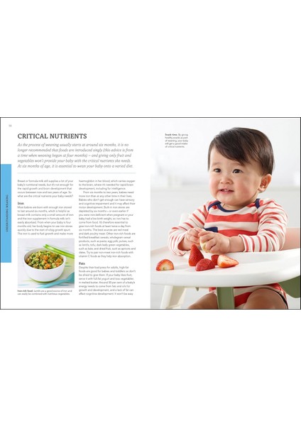 Weaning: New Edition - What To Feed, When To Feed And How To Feed Your Baby fırsatları