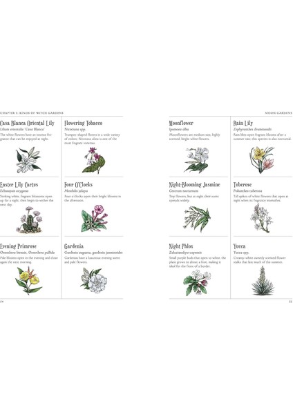 The Green Witch's Garden: Your Complete Guide To Creating And Cultivating A Magical Garden Space modelleri