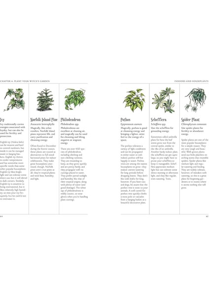 The Green Witch's Garden: Your Complete Guide To Creating And Cultivating A Magical Garden Space fırsatları