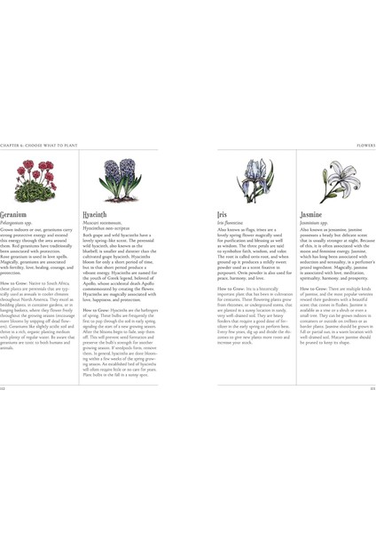 The Green Witch's Garden: Your Complete Guide To Creating And Cultivating A Magical Garden Space indirimleri