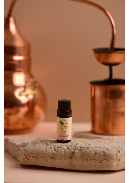 Sedir Uçucu Yağı 10 ml