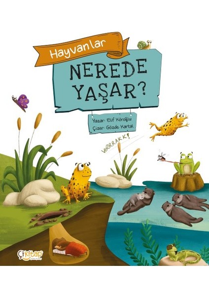Hayvanlar Nerede Yaşar? - Elif Köroğlu