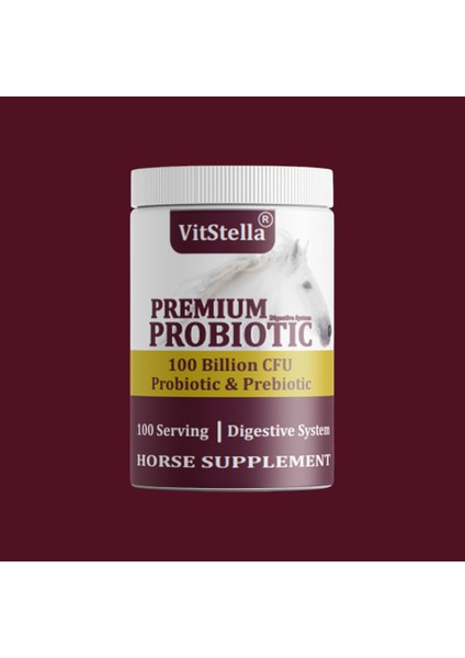 Premium Probiotic 100 Billion Cfu 1 kg
