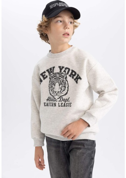 Erkek Çocuk Gri Regular Fit Düz Kesim Basic Düz Kapüşonlu Sweatshirt B7822A8NS