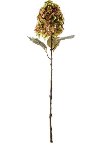 Concept Ortanca Kurutulmuş Çiçek 84 cm