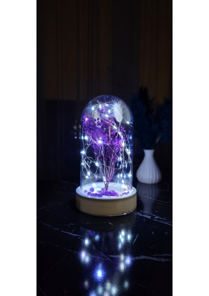 Beyaz Tabanlı Led Işıklı Sevgililer Günü Cipsolu Solmayan Çiçekli Fanuslu Gece Lambası Kırmızı