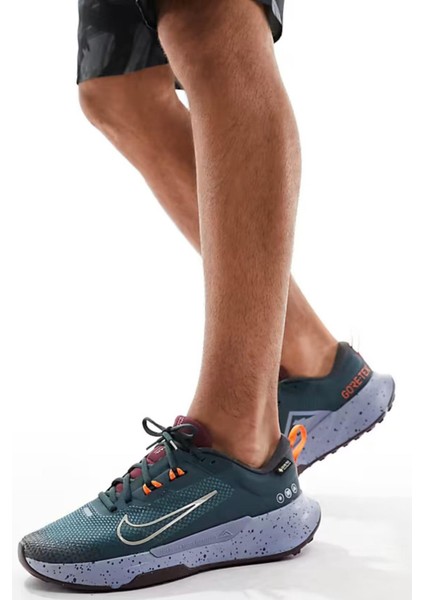 Juniper Trail 2 Gore-Tex Erkek Koşu & Antrenman Ayakkabısı fiyatları