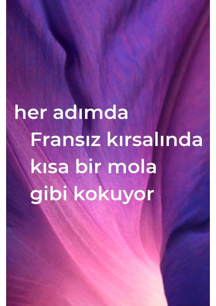 Bitki Bazlı Çok Amaçlı Yüzey Temizleyici Fransız Lavantası Kokulu 828ml