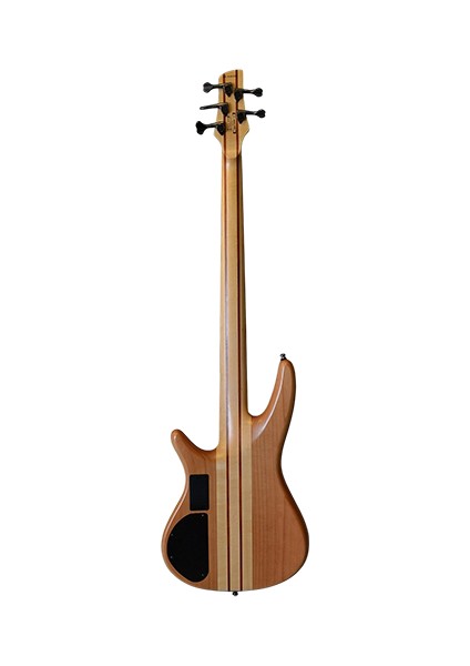 SR1005EFMNTF Bas Gitar 5 Telli Kutulu