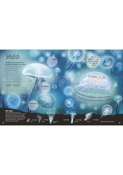 Earth's Incredible Oceans fırsatları