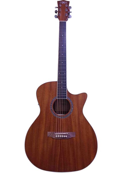 Elektro Akustik Gitar
