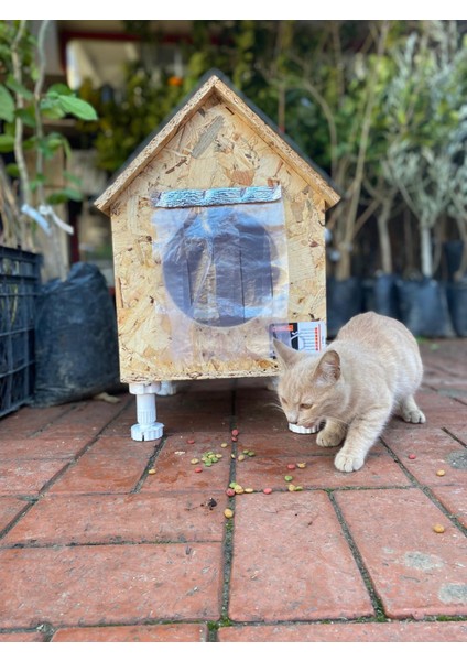 Kedi Yuvası Kedi Evi Kedi Yatağı 11 mm Osb Den Üretimmiştir 33X37X41 cm