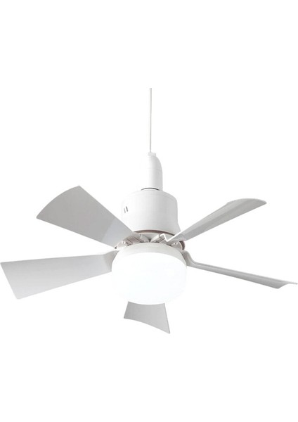 Yeni Estevia Xdn Karayel Fan LED Ampul Company