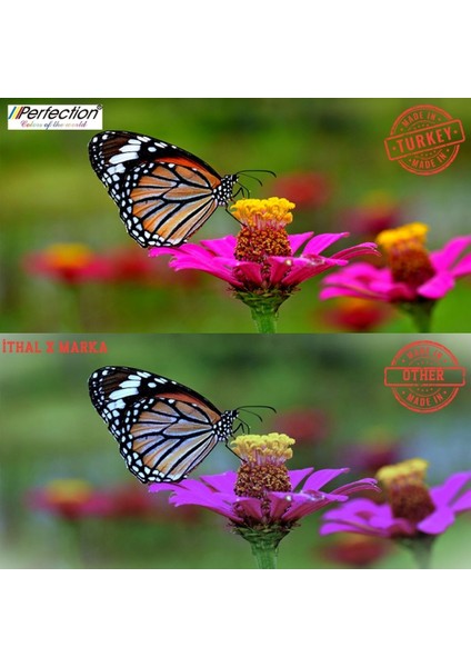 Dye Bazlı Tüm Kartuşlu ve Tanklı Yazıcılar Uyumlu Üniversal Mürekkep Dolum Seti 4X100 Gr. fiyatları