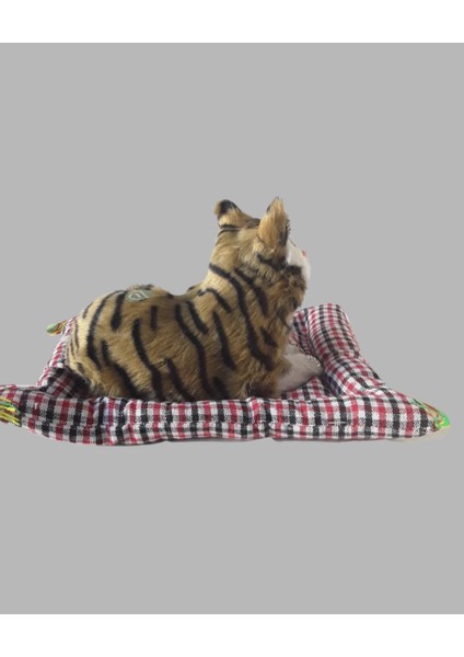 Pelüş Kedi, Minder Üzerinde, Kedi Sesli Miyavlayan Biblo Oyuncak, Hediyelik modelleri