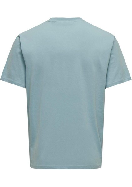 Onslevı Lıfe Reg Text Ss Tee Noos Organik Pamuk Erkek T-Shirt fiyatları