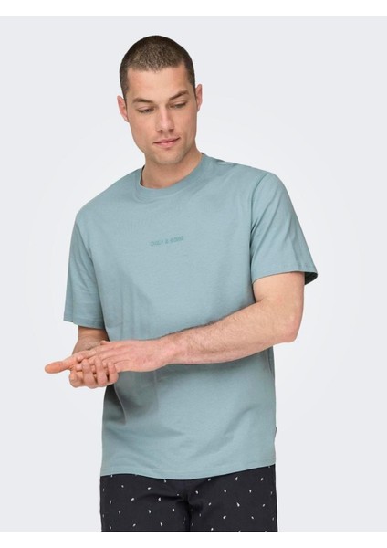 Onslevı Lıfe Reg Text Ss Tee Noos Organik Pamuk Erkek T-Shirt modelleri
