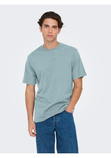 Onslevı Lıfe Reg Text Ss Tee Noos Organik Pamuk Erkek T-Shirt fırsatları