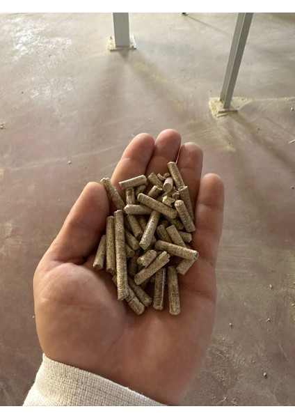 %100 Çam Peleti 6mm 15KG fırsatları