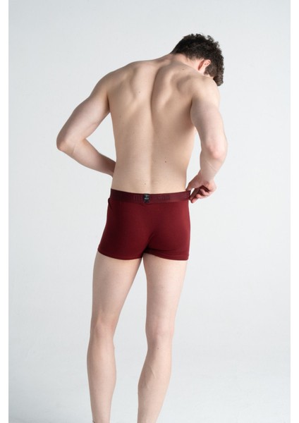 3'lü Pamuklu Likralı Çok Renkli Esnek Erkek Boxer (Bordo Antrasit Gri) indirimleri