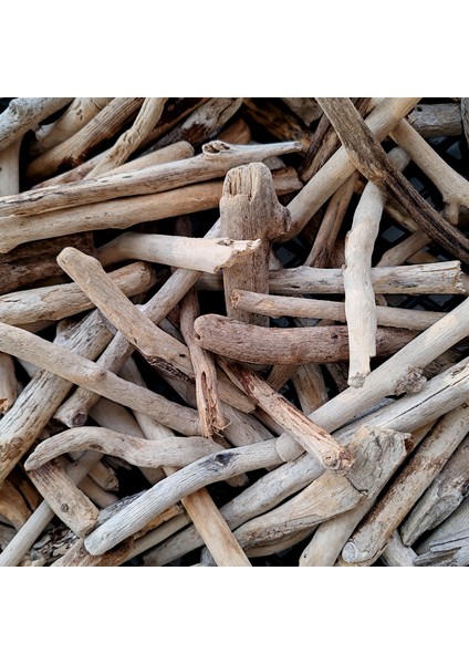 Driftwood Deniz Sahil Odunu Tip 2