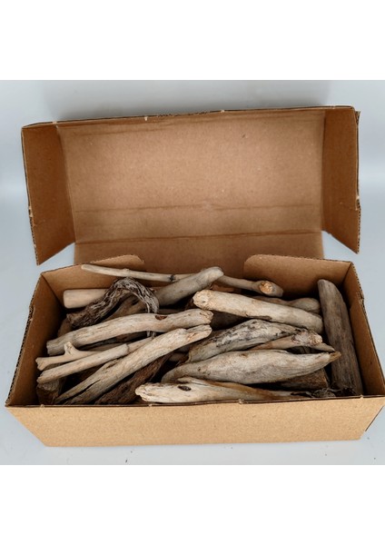 Driftwood Deniz Sahil Odunu Tip 2
