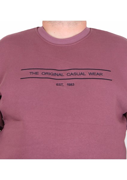 Erkek Büyük Beden Sıfır Yaka 3ip Sweat Original 24203 Eflatun modelleri