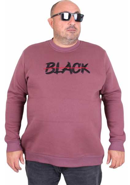 Erkek Büyük Beden Sıfır Yaka 3ip Sweat Black 24202 Eflatun