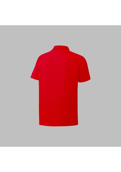Büyük Beden Erkek Kırmızı Vision Pro Kumaş Şık Rahat Konforlu Tshirt 4XL-10XL