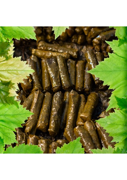 Köyceğiz Doğal Market - Alaşehir Organik Salamura Üzüm ( Asma ) Yaprağı fiyatları