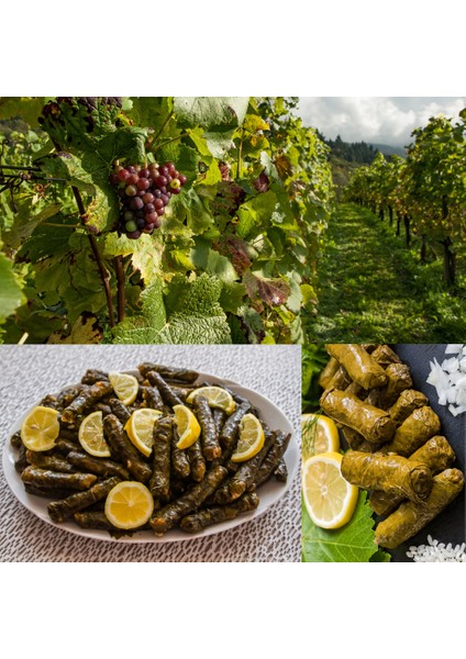 Köyceğiz Doğal Market - Alaşehir Organik Salamura Üzüm ( Asma ) Yaprağı modelleri