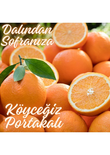 Köyceğiz Doğal Market Organik Köyceğiz Portakalı