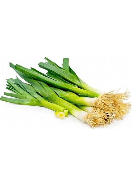 Pırasa ( Çoklu Tohum ) - 5 Gram