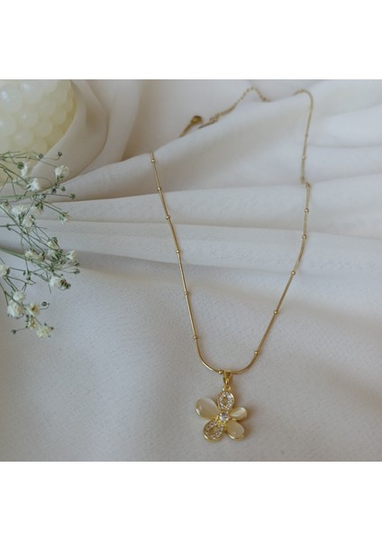 Çelik Kolye fiyatları