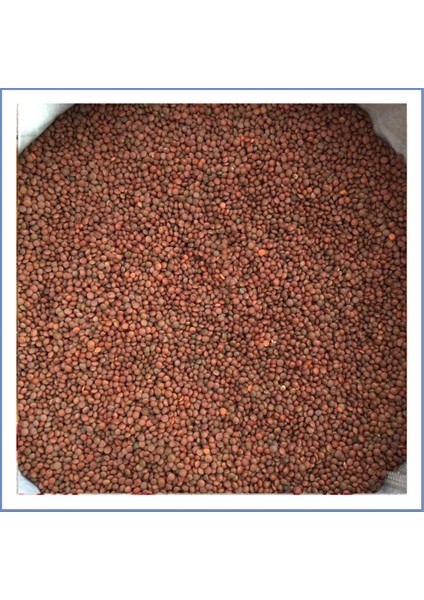 Organik Köy Mercimek