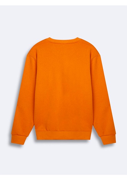 Erkek Sweatshırt fiyatları