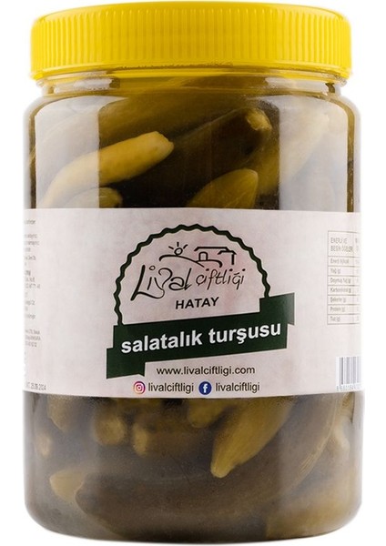 Salatalık Turşusu 1 kg