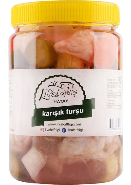 Karışık Turşu 1 kg