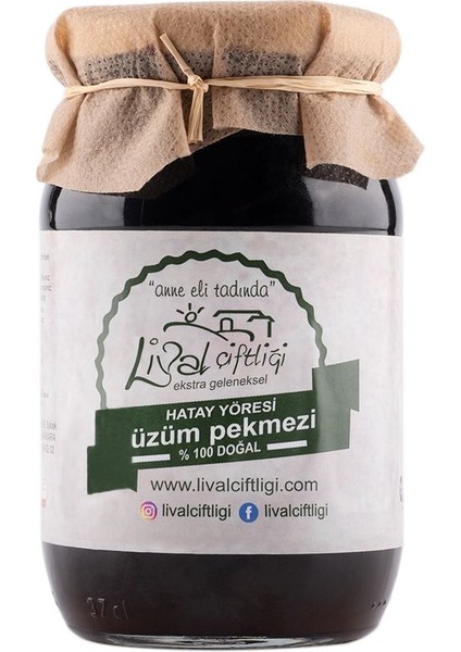 Üzüm Pekmezi 460 gr Cam Kavanoz