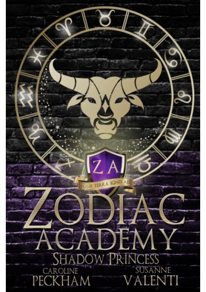 Zodiac Academy 4: Shadow Princess