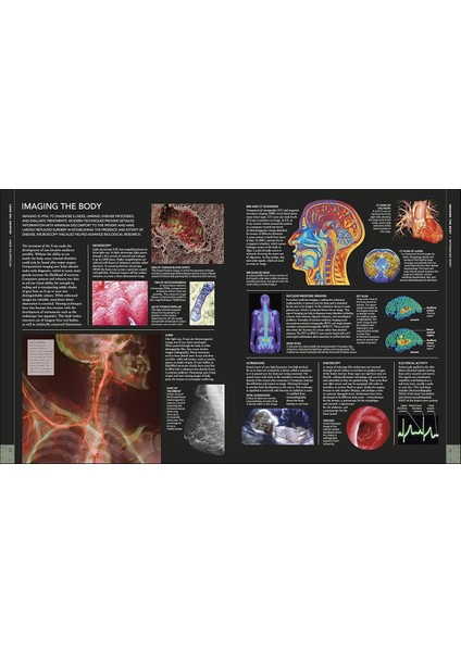 The Human Body Book fiyatları