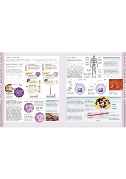 The Human Body Book fırsatları