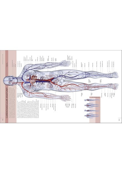 The Human Body Book indirimleri