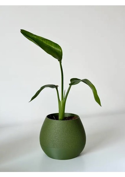 Kendi Kendini Sulayan Dekoratif Saksı