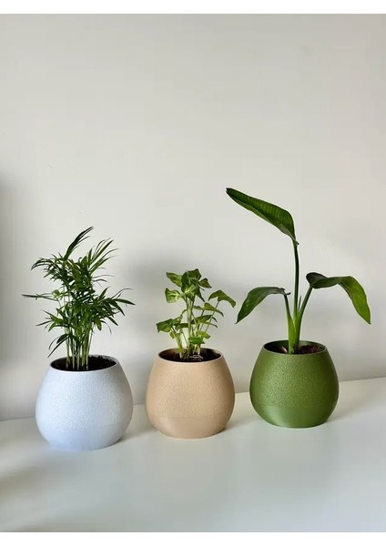 Kendi Kendini Sulayan Dekoratif Saksı modelleri