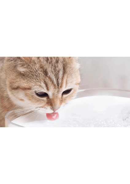 Xiaomi Smart Pet Fountain Akıllı Su Kabı modelleri