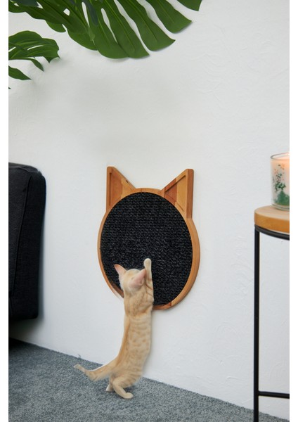 Duvara Monte Masif Ahşap Doğal Yuvarlak Kedi Tırmalama Tahtası