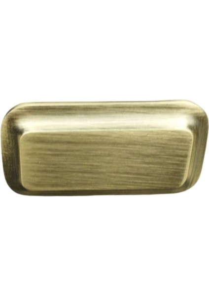 9110 Modern Antik Renk Kulp 16 mm