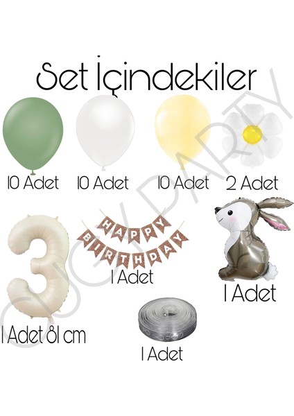 3 Yaş Rakamlı Yeşil Sarı Beyaz Balon Tavşan Figürlü Yaş Seçenekli Papatya Detaylı Doğum Günü Seti modelleri